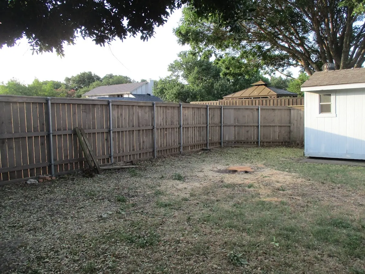 Cleared yard after professional tree removal in Morrisville