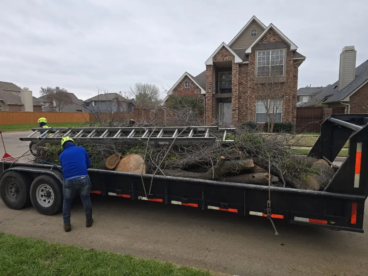 Expert Lot Clearing with proper safety equipment in Morrisville